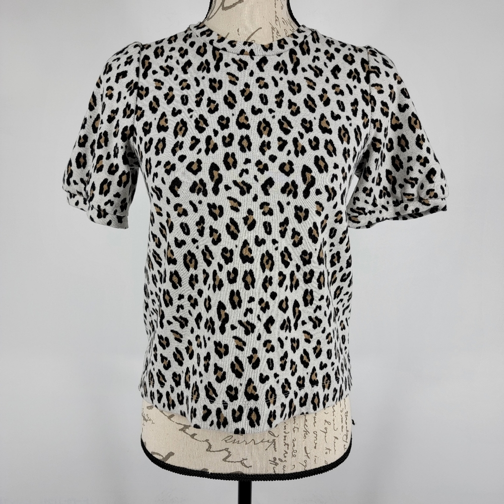 LOFT Short Sleeve Leopard Print Knit Top Size‎ XS